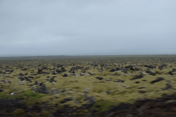 Sur la route de Selfoss, le paysage ressemble à s'y méprendre à un gigantesque cookie aux pépites de chocolat. Ou bien est-ce parce que nous n'avons rien mangé depuis le matin ?