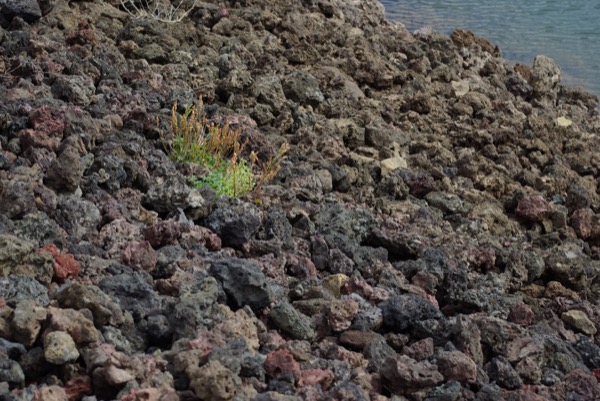 La roche volcanique aux abords du cratère.