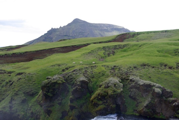 En Islande, les moutons vont toujours par trois. Si vous n'en voyez que deux, le troisième est probablement en train de charger dans votre dos !