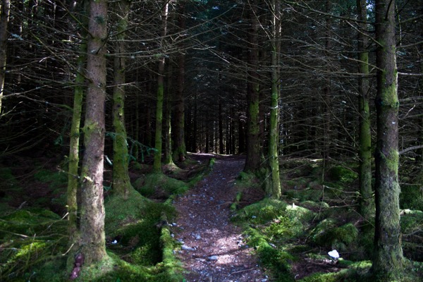 Les forêts insondables de Glen Nevis...