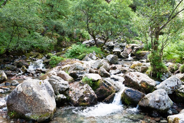 Le chemin de randonnée suit la rivière Coe, et longe de nombreuses cascades.