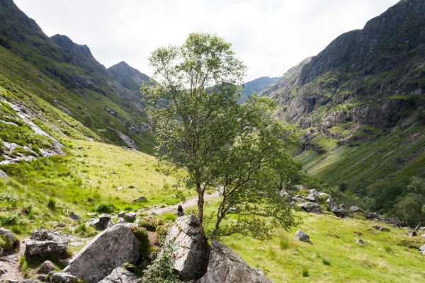 Quand soudain, au bout du chemin, derrière un arbre..,