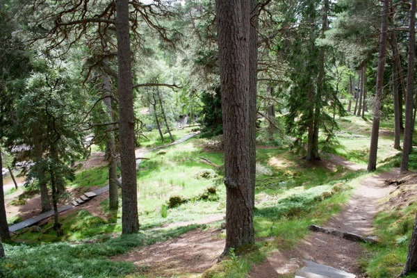 Un chemin descend à travers la forêt jusqu'à la rivière.