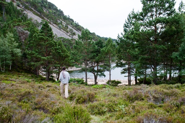 An Loch Uaine, ou Loch Vert. Sur un banc sont gravés les vers d'un poète anonyme : "And again in the dusk of the evening, I shall find once more alone. The dark water of the green loch, and the pass beyond Ryvoan".